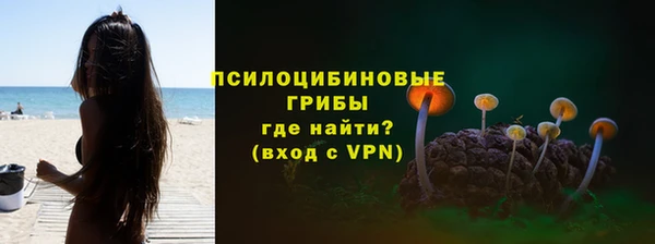 ГАЛЛЮЦИНОГЕННЫЕ ГРИБЫ Белокуриха