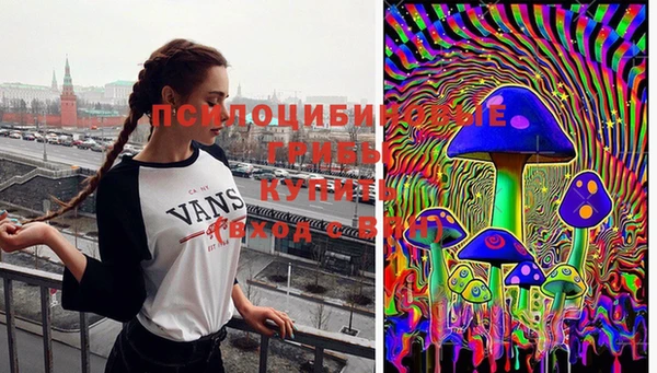 ГАЛЛЮЦИНОГЕННЫЕ ГРИБЫ Белокуриха