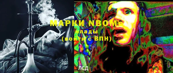 ГАЛЛЮЦИНОГЕННЫЕ ГРИБЫ Белокуриха