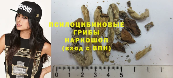 ГАЛЛЮЦИНОГЕННЫЕ ГРИБЫ Белокуриха