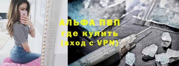 ГАЛЛЮЦИНОГЕННЫЕ ГРИБЫ Белокуриха